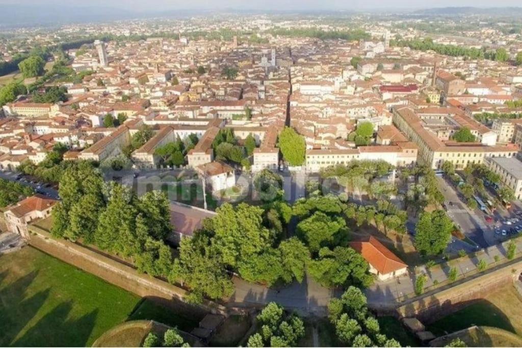 50 Metri Duomo Di Lucca Self Check-In E Wi-Fi Appartement Buitenkant foto